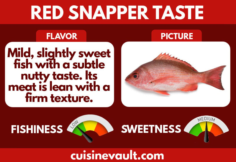 Red Snapper Taste Infographic
