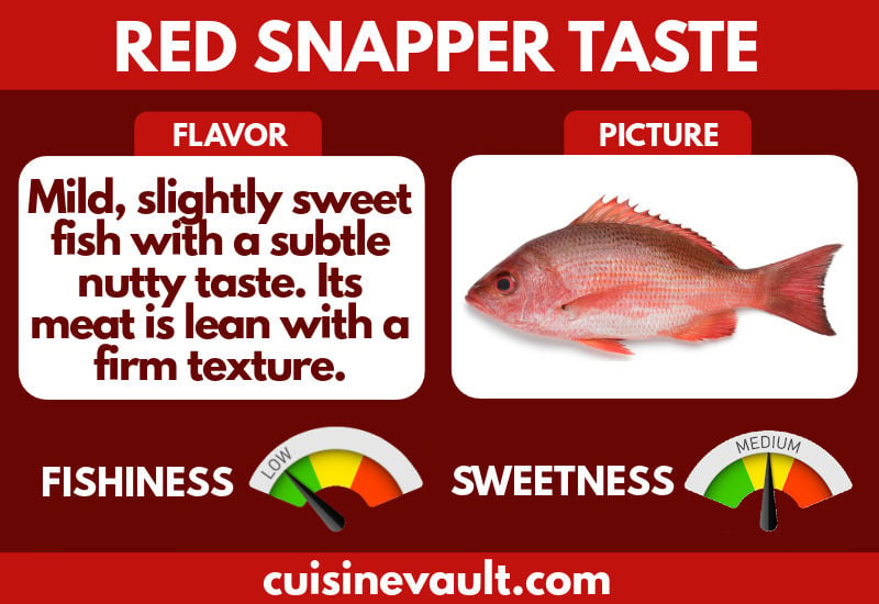 what does red snapper fish taste like