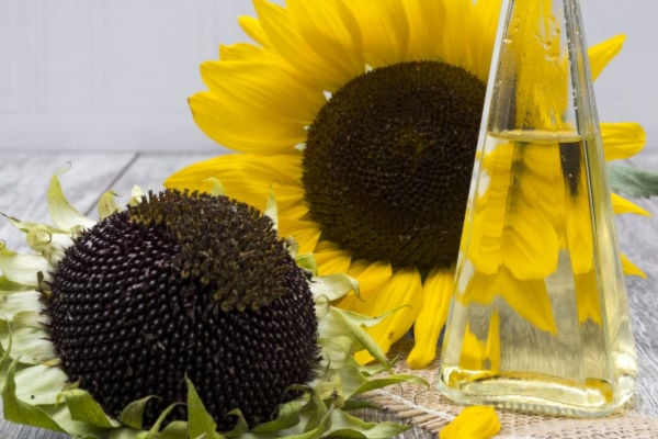 Sunflower oil and sunflowers