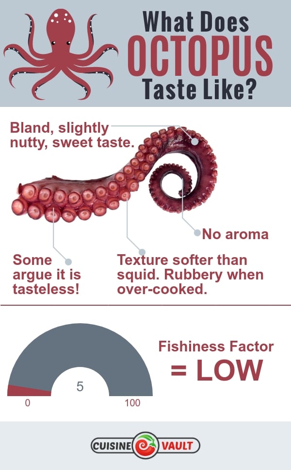 An infographic about what does octopus taste like.