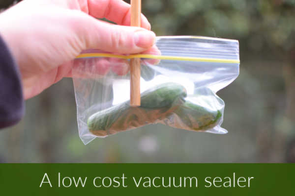 Low Cost Vacuum Sealer