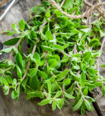 Marjoram Substitutes – 5 Recommended Options