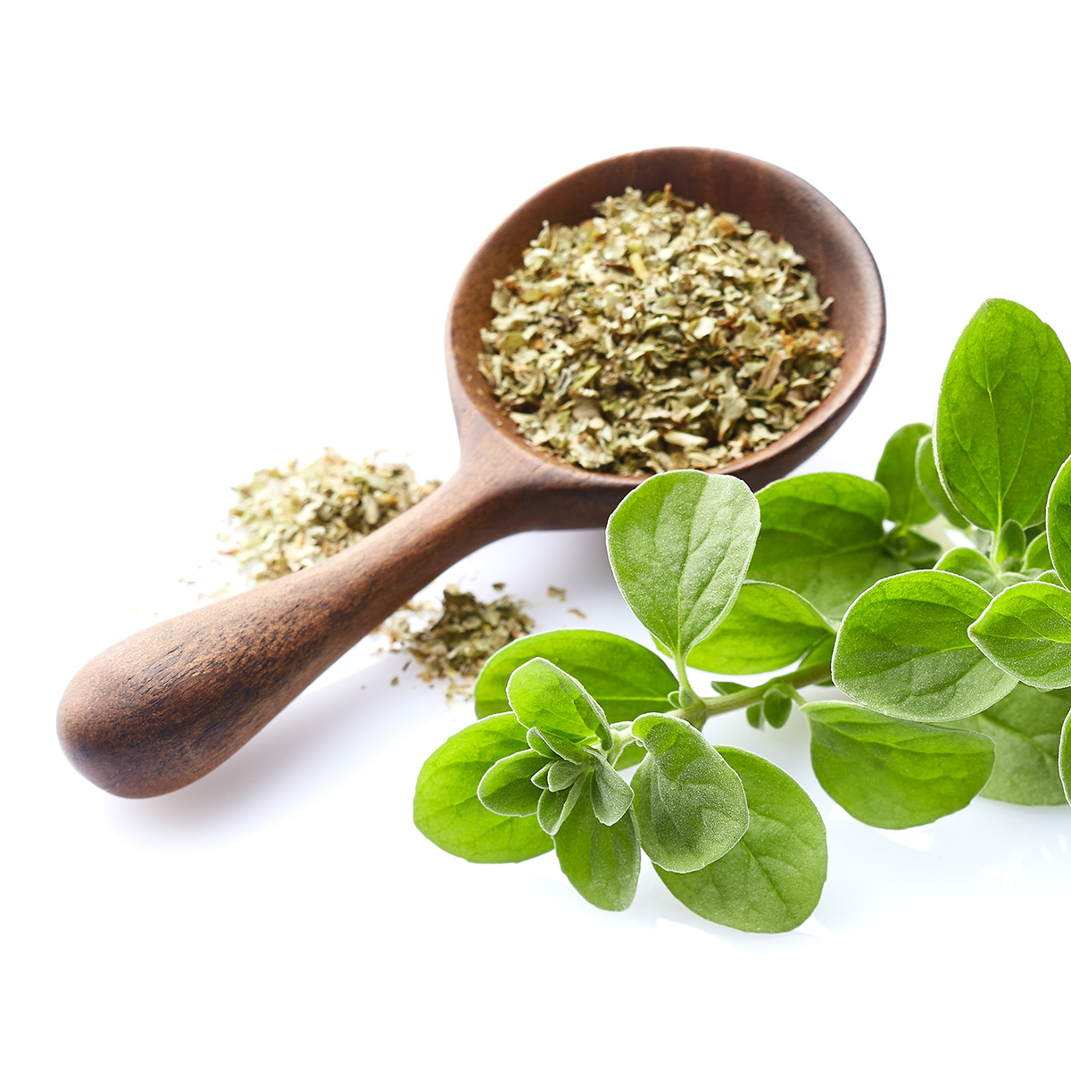 Marjoram Substitutes 5 Options