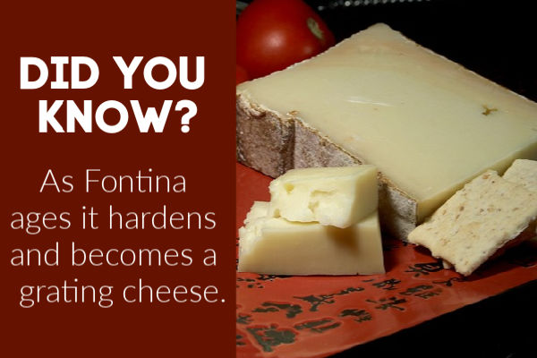 Fun Fact About Fontina