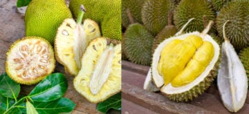 Jackfruit Vs Durian - 6 Crucial Facts