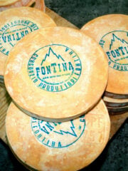 What Can I Substitute For Fontina Cheese?