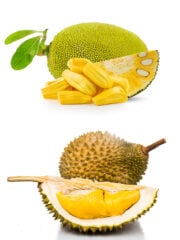 Jackfruit vs Durian - 6 Crucial Facts