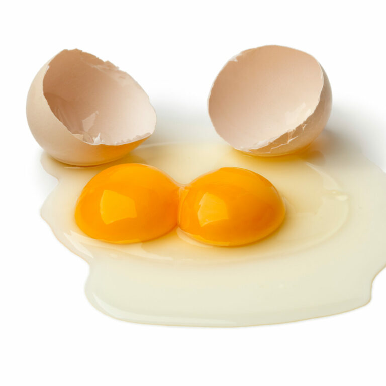 Egg Yolk Substitutes The Ultimate Guide