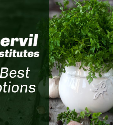 Substitute For Chervil – 6 Best Options