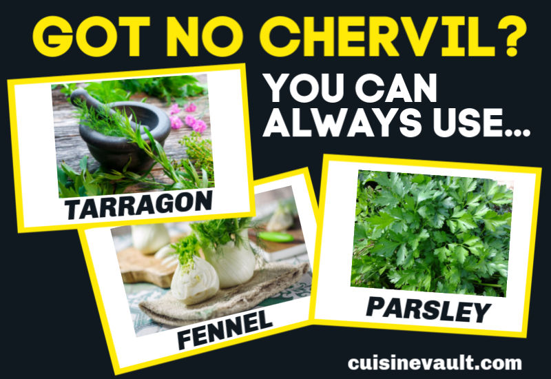 An infographic showing recommended chervil substitutes