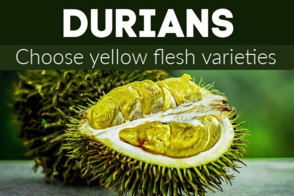 Yellow flesh durians are a sweeter fruit.