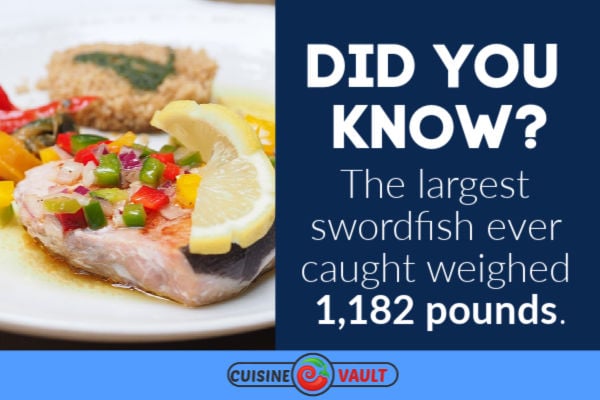Fun fact about swordfish