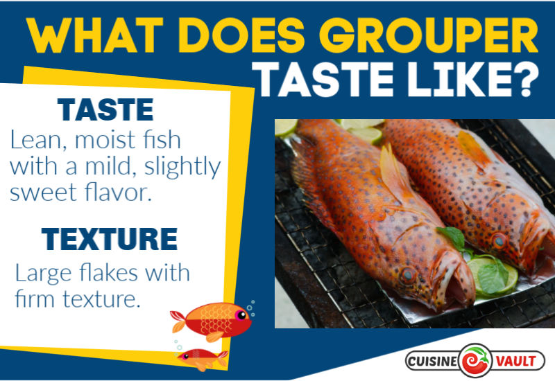 Inforgarphic of what grouper tastes like.
