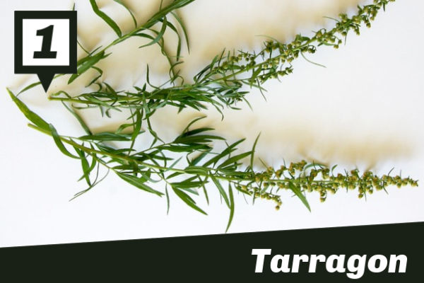 Sprigs of tarragon