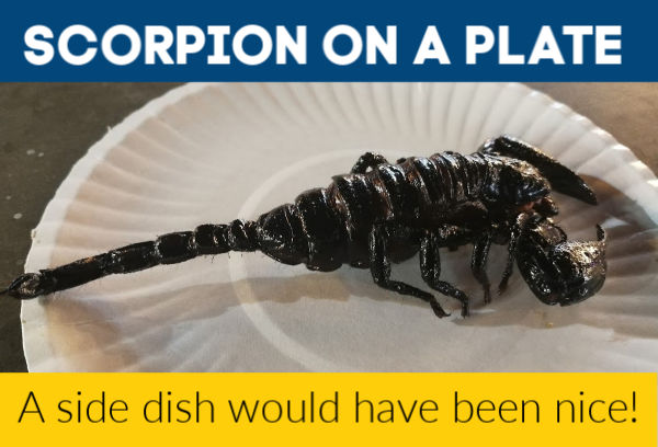 A fried scorpion on a paper plate