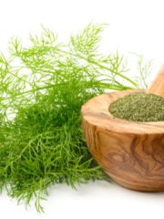 Dill Substitute – Weed and Seed Alternatives