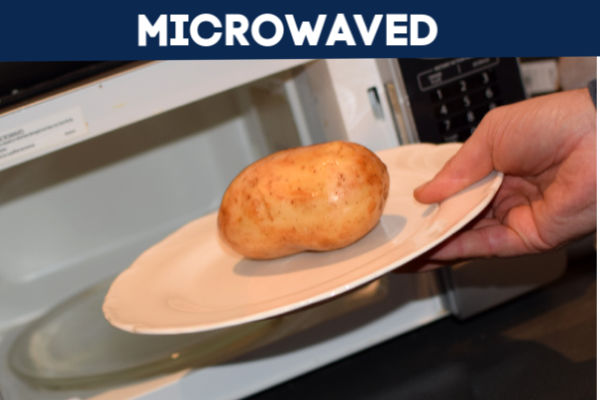 A plate with a potato being placed in a microwave