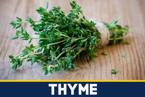 Fresh thyme