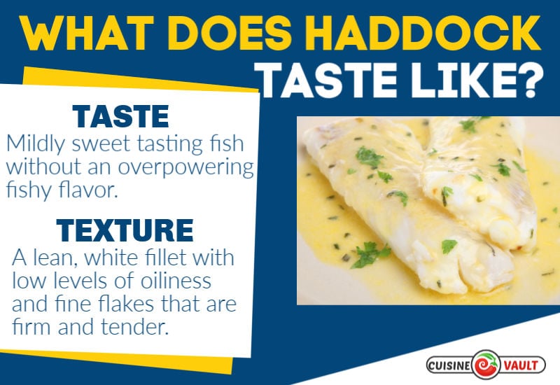 What Does Haddock Taste Like?