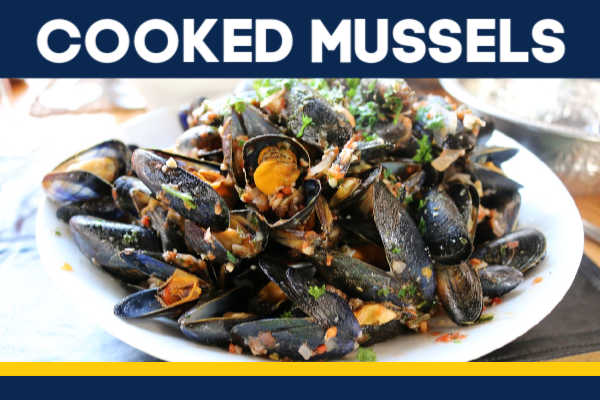 Cooked mussels