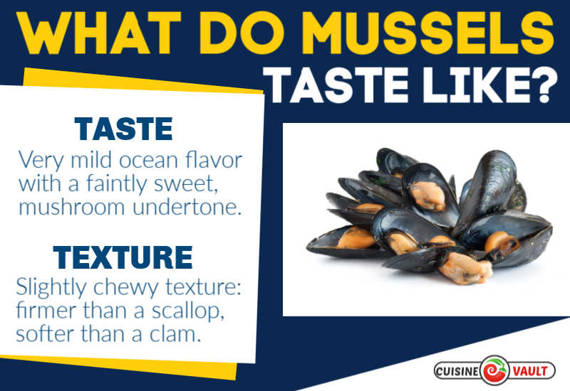 Description of mussels taste
