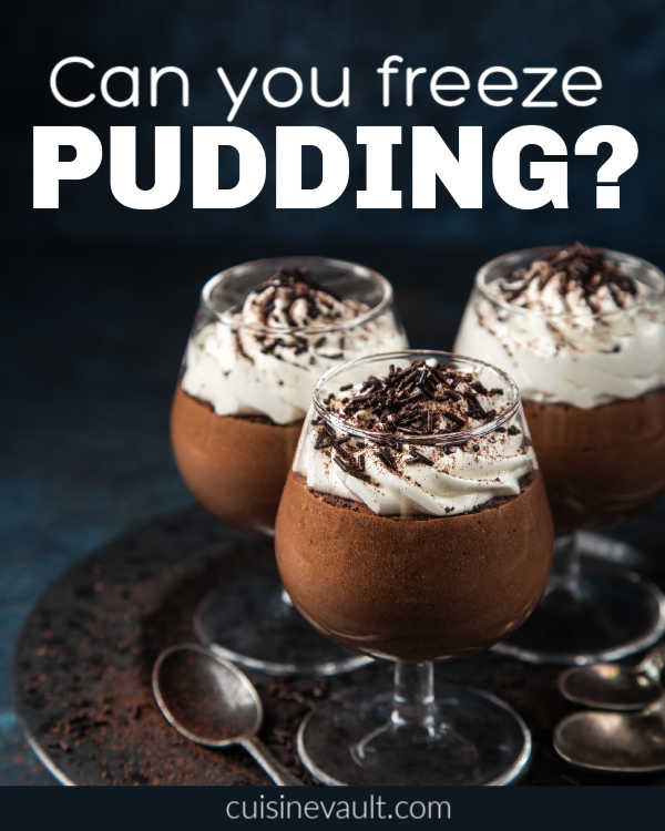 Can You Freeze Pudding