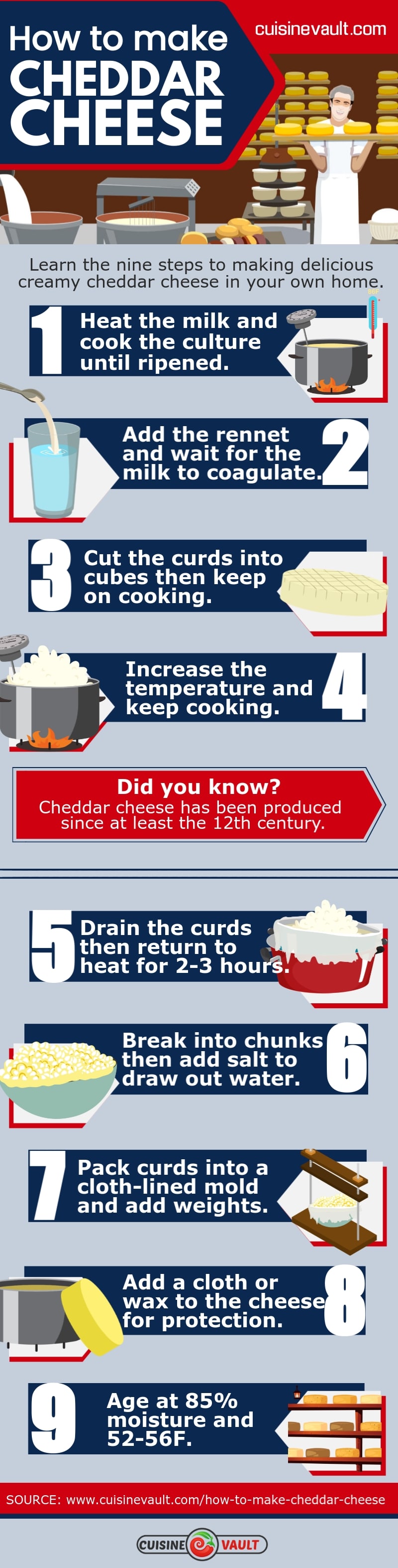 How to make cheddar cheese infographic