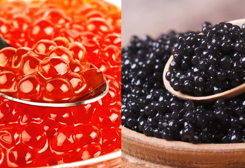 Roe and black caviar in bowls