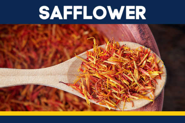 Safflower threads on a spoon.