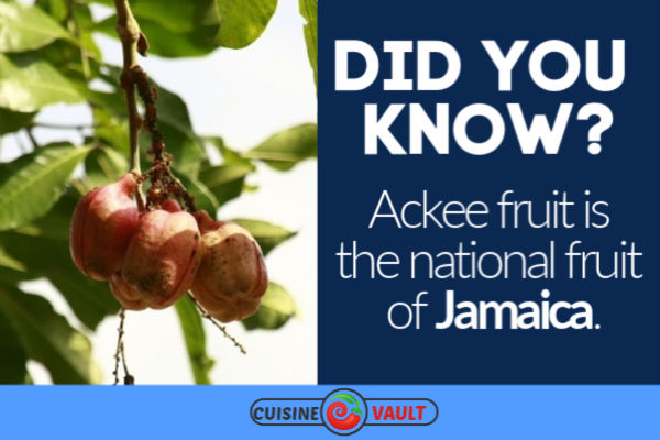 Ackee Fruit Fact