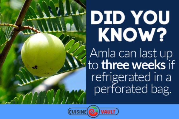 Fun fact about amla fruit