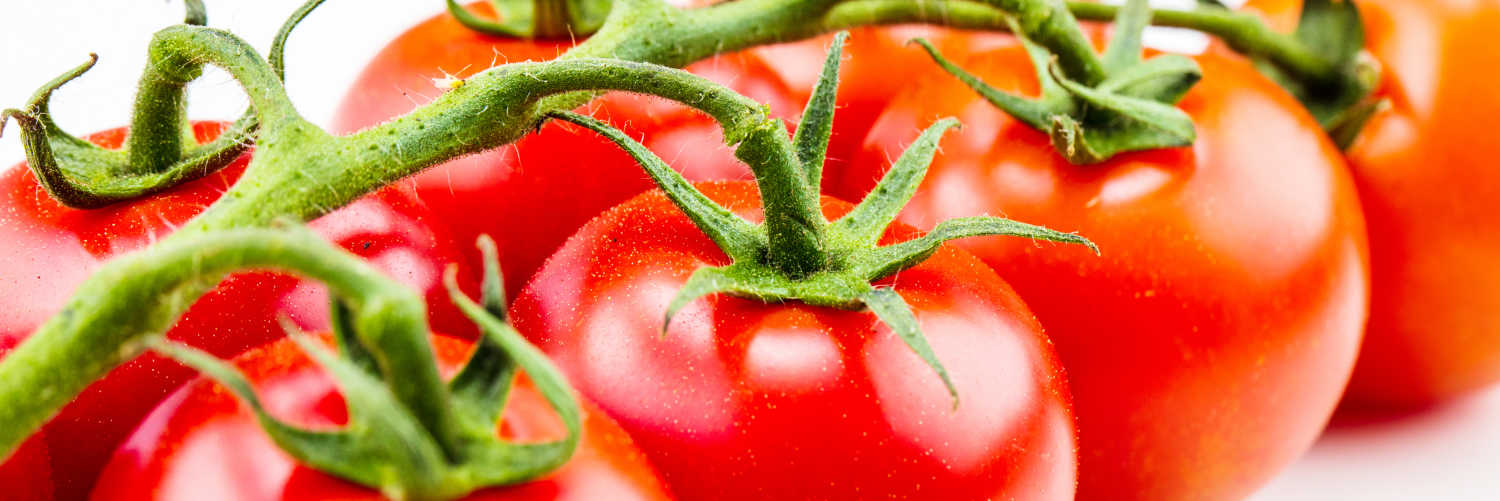 How to choose the best tomato