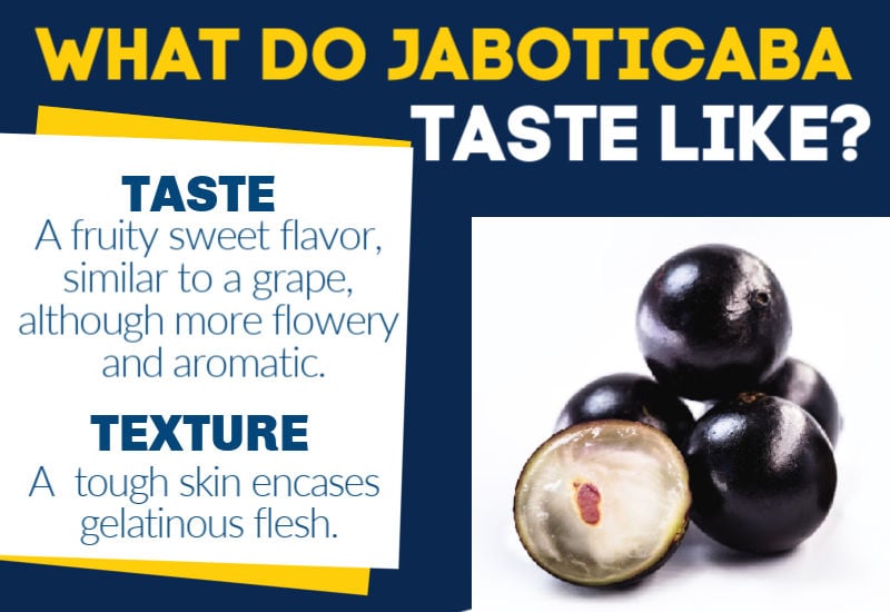 A description of the jaboticaba's taste and texture