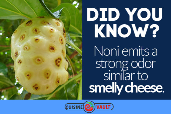 Fact about noni