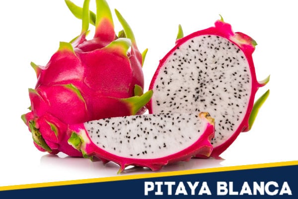 Sliced pitaya blanca on white background