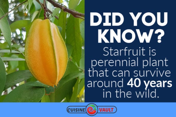 A fact about star fruit