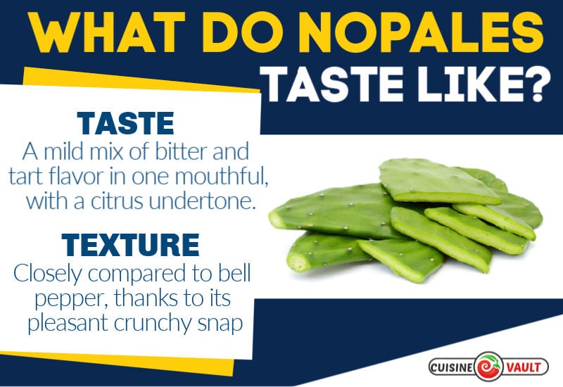 A description of nopale pads flavor and texture.
