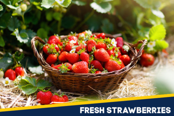Fresh strawberries in a basket