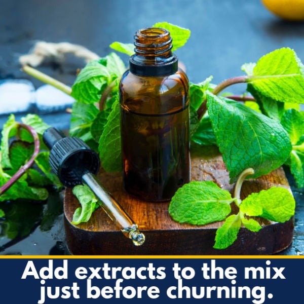 Mint extract in a bottle next to fresh mint.