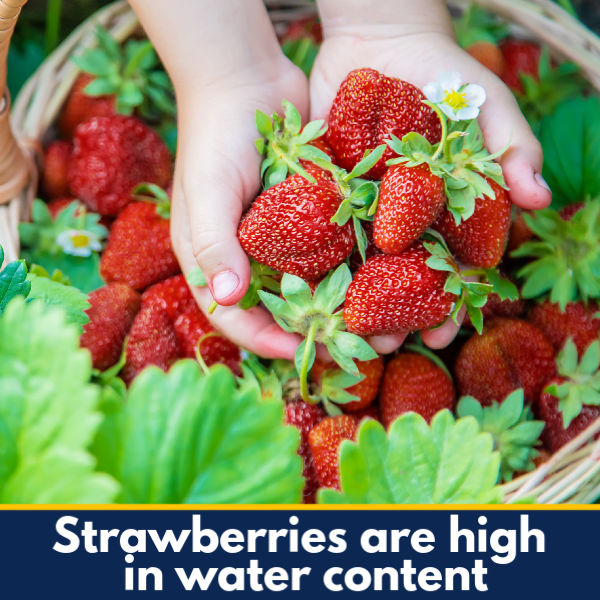 A bowl of fresh strawberries.