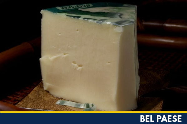 A block of Bel Paese cheese