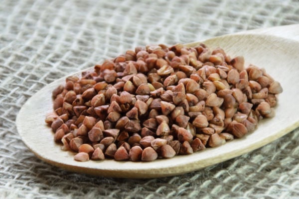 A spoon of dried buckwheat grits