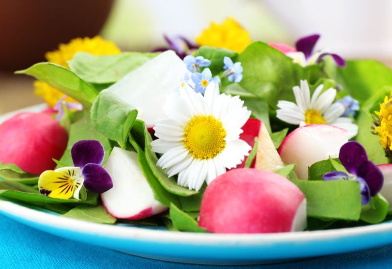 A salad garnished with edible flowers