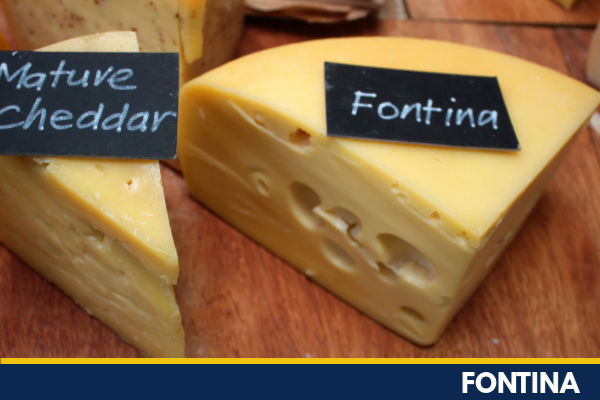 Fontina cheese wedge
