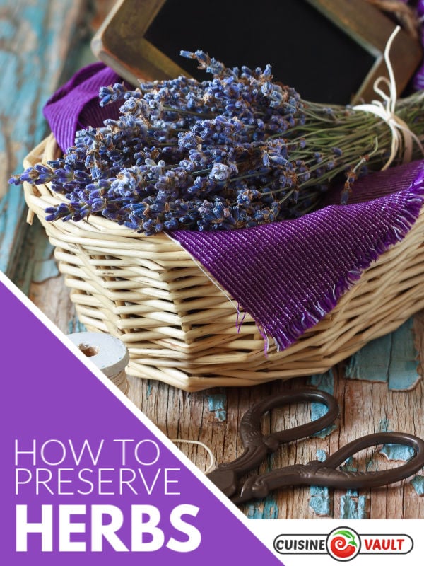 Freshly cut lavender in a basket
