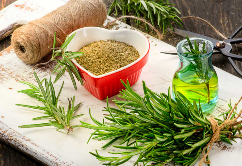 A bunch or rosemary next to olive oil infusion