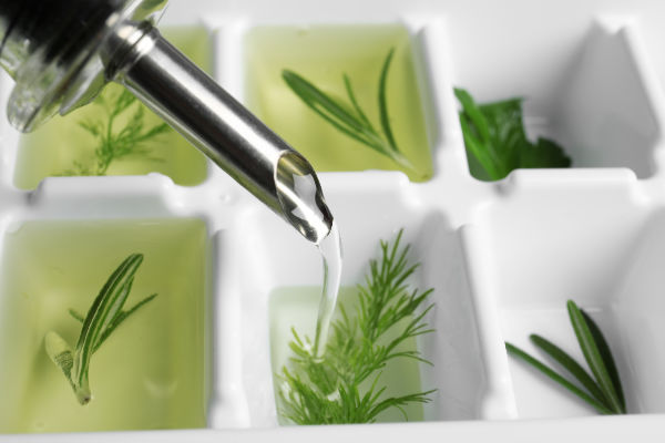 Herbs in an ice cube tray ready to freeze