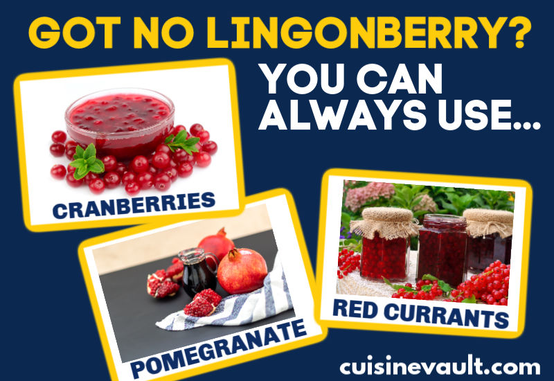 Infographic showing three alternatives to lingonberry.
