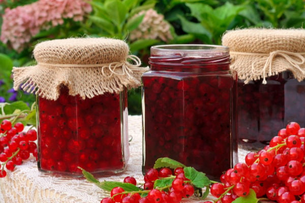 Red Currant Preserve