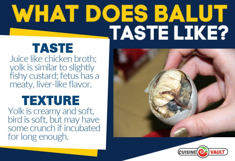 An infographic describing the taste and texture of balut